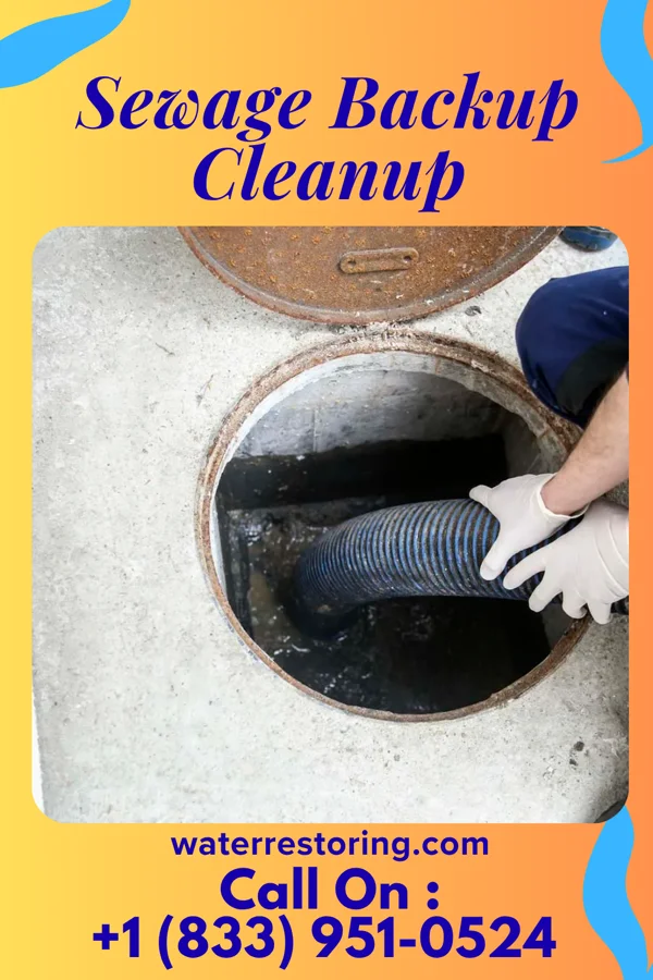 Sewage Backup Cleanup in Pequot Lakes, MN